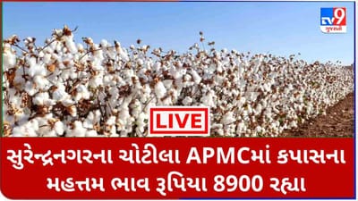 Mandi : સુરેન્દ્રનગરના ચોટીલા APMCમાં કપાસના મહત્તમ ભાવ રૂપિયા 8900 રહ્યા, જાણો જુદા-જુદા પાકના ભાવ