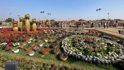 Video : ઉત્તરાયણ પર્વે 70 હજાર લોકો ફ્લાવર શોમાં ઉમટ્યા, કુલ 10 લાખ લોકોએ ફ્લાવર શોની મુલાકાત લીધી