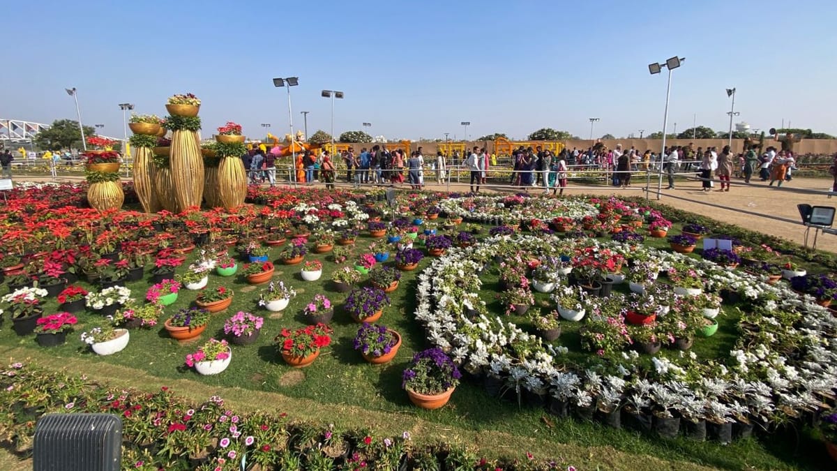 Video : ઉત્તરાયણ પર્વે 70 હજાર લોકો ફ્લાવર શોમાં ઉમટ્યા, કુલ 10 લાખ લોકોએ ફ્લાવર શોની મુલાકાત લીધી