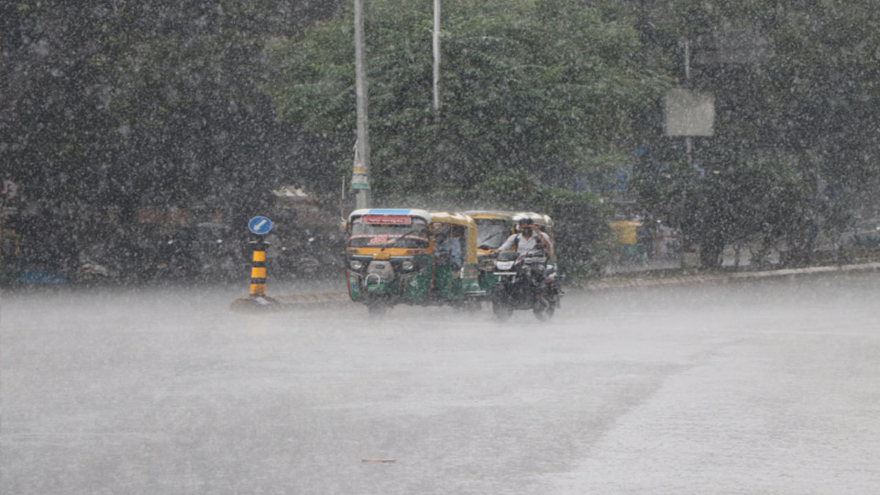 Unseasonal rain : ઉત્તર ગુજરાતમાં કમોસમી વરસાદથી ખેડૂતોને ભારે નુકસાન, બનાસકાંઠામાં વીજળી પડતા 21 પશુના થયા મોત