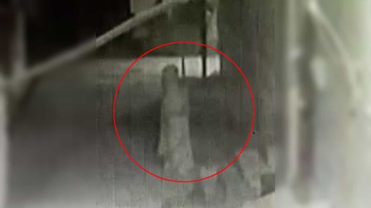 Viral Video: કેમેરામાં અચાનક દેખાયું ભૂત, જુઓ પછી શું થયું, સોશિયલ મીડિયા પર વીડિયો થયો વાયરલ