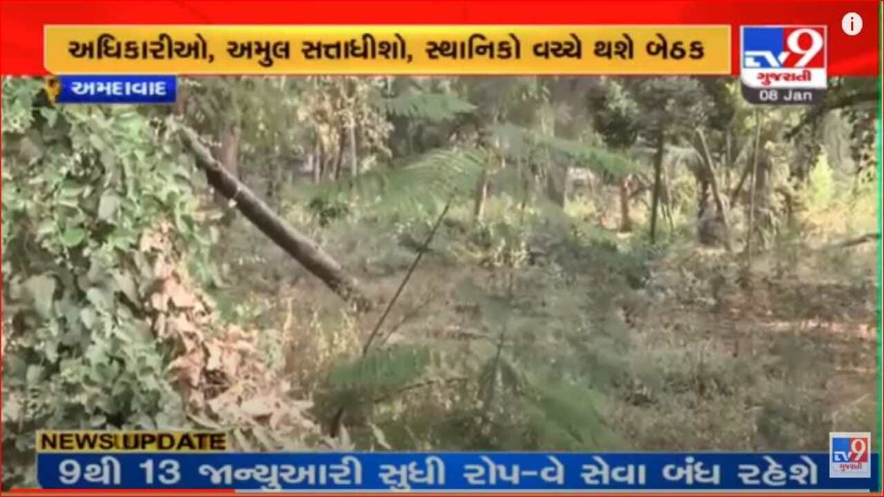 Video: અમદાવાદના બાગ-બગીચાઓની હાલત બની દયનિય, સ્વચ્છતાને લઈને ઉઠી ફરિયાદો Video: અમદાવાદના બાગ-બગીચાઓની હાલત બની દયનિય, સ્વચ્છતાને લઈને ઉઠી ફરિયાદો