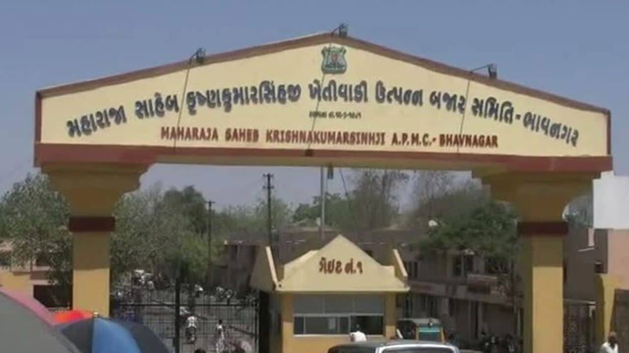 Bhavnagar: એપીએમસીની ચૂંટણી યોજવા માટે ખેડૂતો-વેપારીઓની માંગ, છેલ્લા 10 વર્ષથી છે વહીવટદારનું શાસન