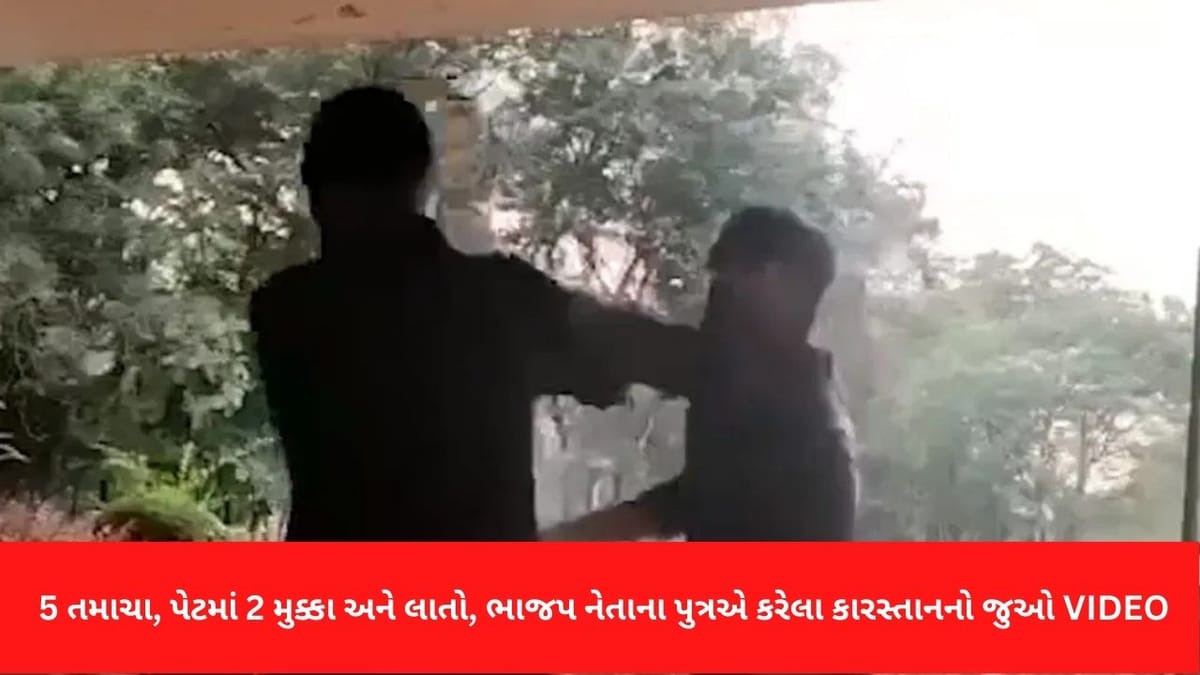 Viral Video: 5 તમાચા, પેટમાં 2 મુક્કા અને લાતો સાથેનો ભાજપના નેતા પુત્રનું કારસ્તાન, જુઓ યુવકને મારતો VIDEO