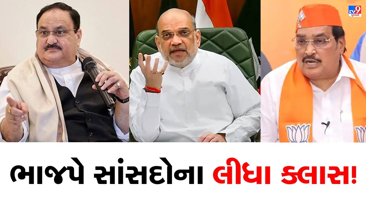 ભાજપે ચૂંટણીમાં પક્ષ વિરોધી કામગીરી કરવા બદલ 6 સાંસદોને આપ્યો ઠપકો, અમિત શાહ, જે.પી.નડ્ડા તથા સી.આર. પાટીલની હાજરીમાં લેવાયા ક્લાસ!