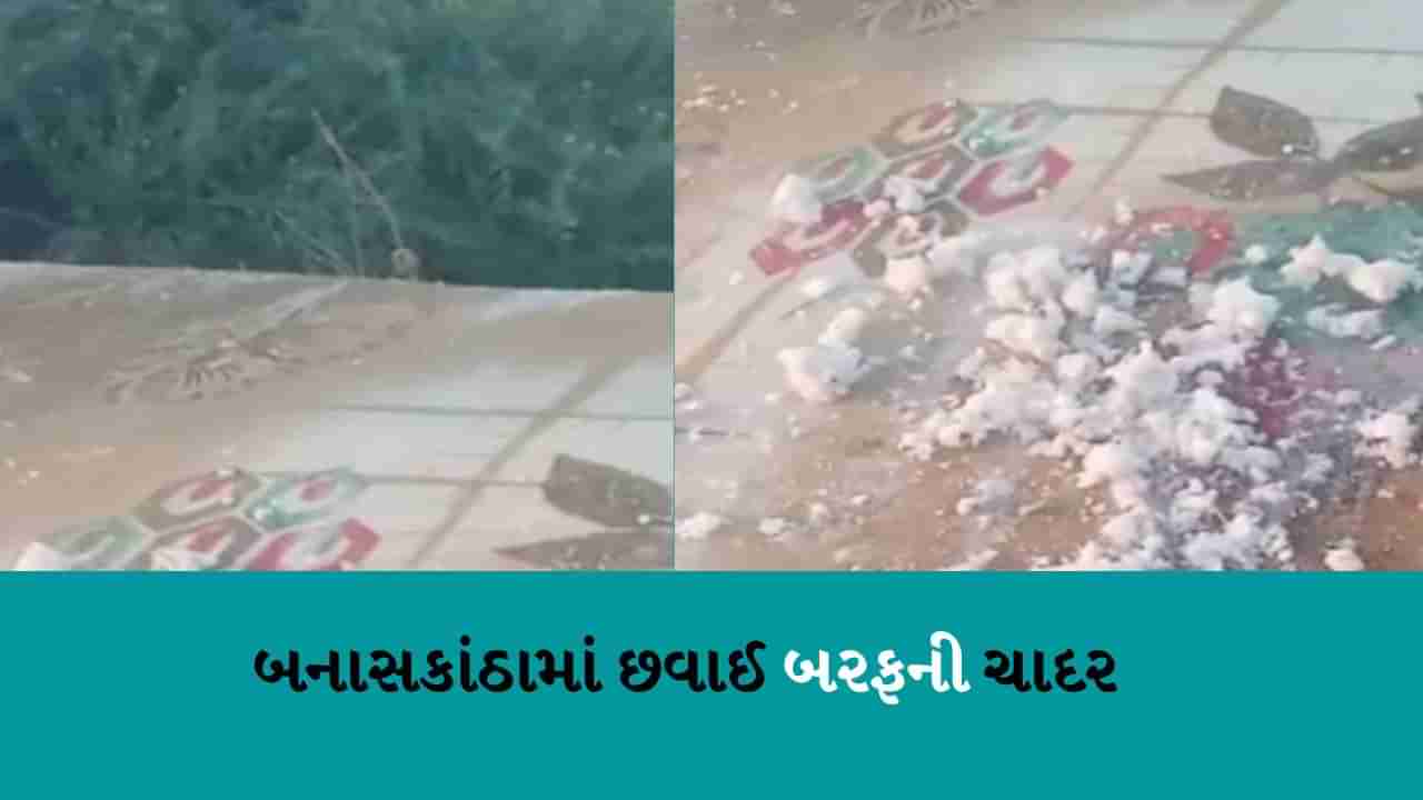 Gujarat weather : ઉતરાયણમાં શિયાળાએ કરી જમાવટ, નલિયા 1.2 ડિગ્રી સાથે ઠંડુગાર, તો ડીસામાં 8.2 ડિગ્રી સાથે જામ્યો બરફ