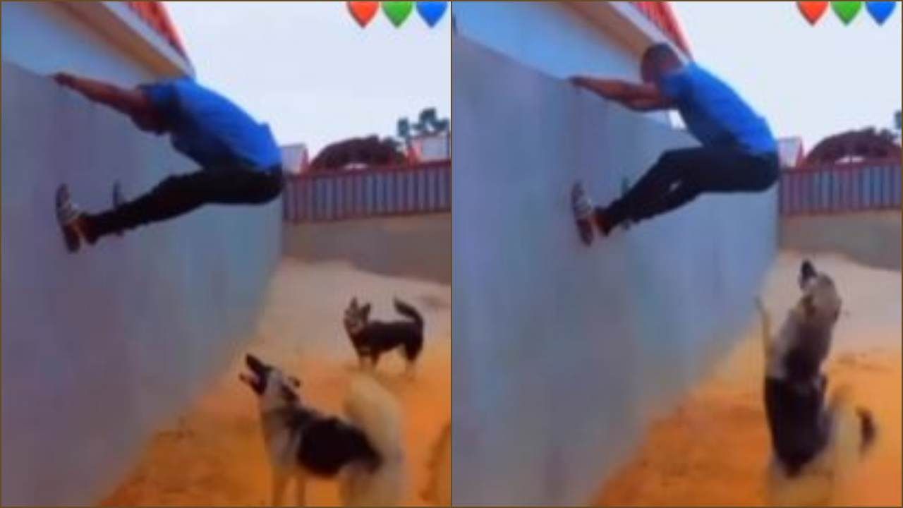 કૂતરાથી બચવા દીવાલ પર ચઢ્યો શખ્સ, એવી રીતે ફસાયો કે જોઈ હસવું નહીં રોકી શકો, જુઓ આ Funny Viral Video