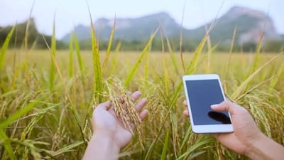 ખેતી સાથે જોડાયેલી દરેક સમસ્યાનું થશે સમાધાન, અહીં કોલ કરવા પર 22 ભાષાઓમાં મળશે જાણકારી