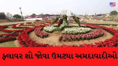 નવા વર્ષના પહેલા દિવસે ફ્લાવર શો જોવા ઉમટ્યા અમદાવાદીઓ, 15થી વધુ થીમે લોકોમાં જમાવ્યુ આકર્ષણ