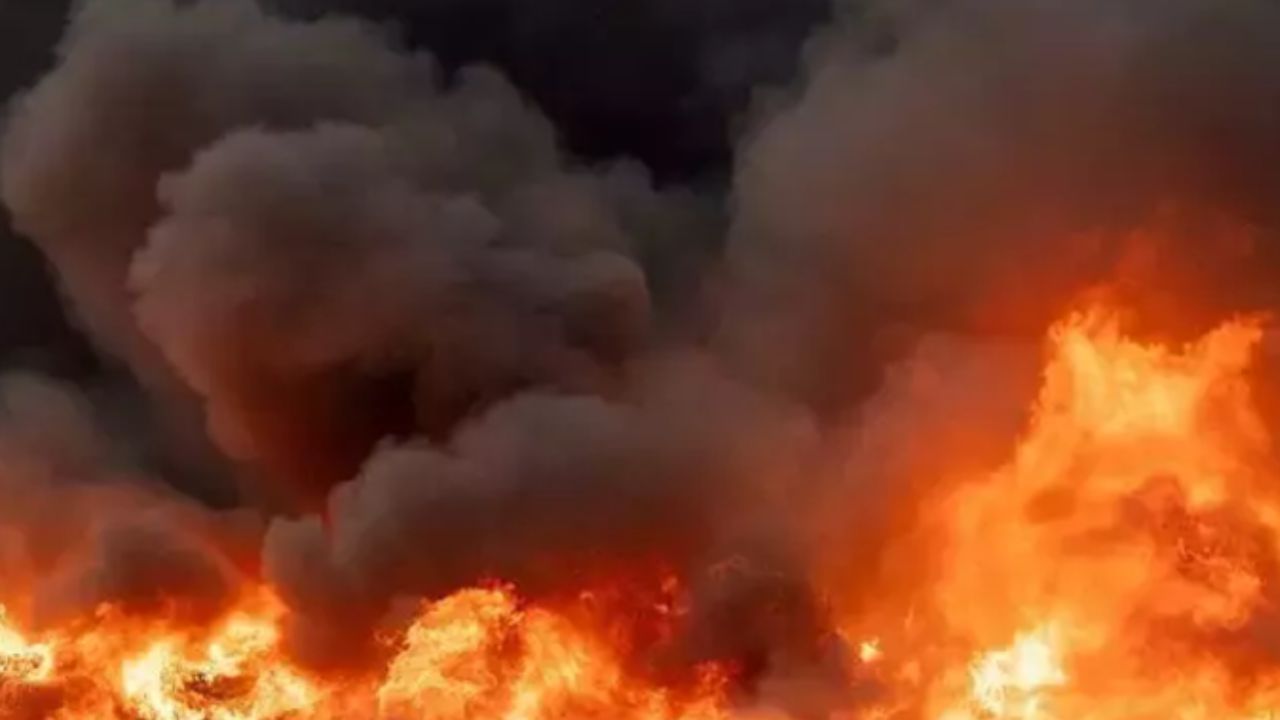 ગોવાની કલર બનાવતી ફેક્ટરીમાં લાગી ભીષણ આગ, આસપાસમાં રહેતા 200 લોકોએ છોડ્યા ઘર