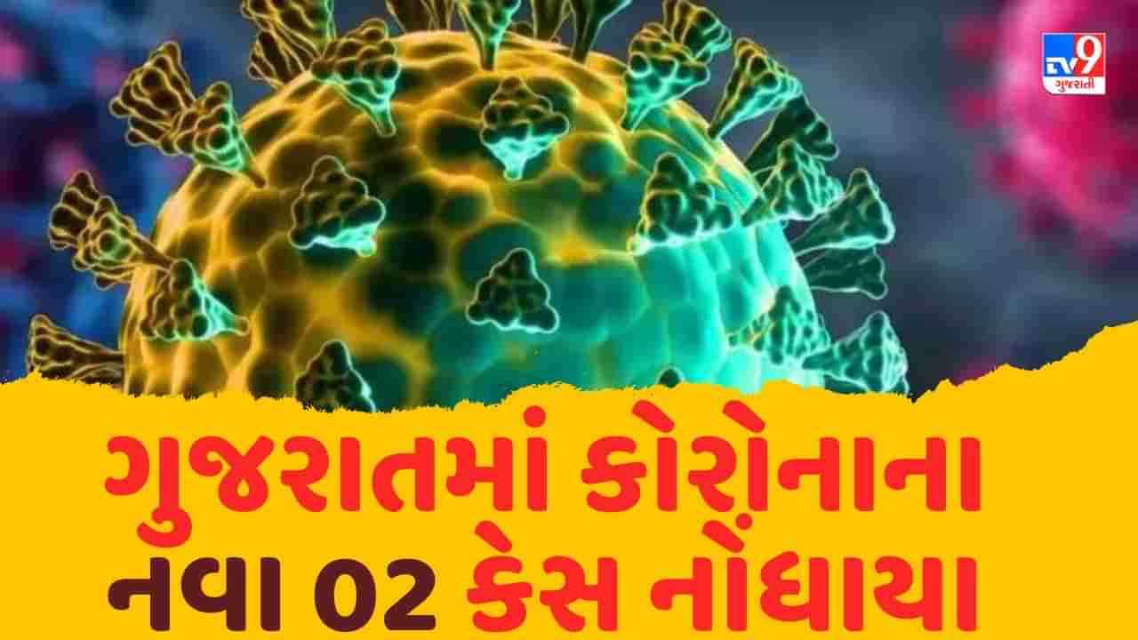 Gujarat Corona Update : ગુજરાતમાં કોરોનાના નવા 02 કેસ નોંધાયા, એક્ટિવ કેસની સંખ્યા 17 થઇ