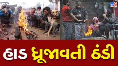 Gujarat weather: આજે રાત્રે આ શહેરોમાં થશે તીવ્ર ઠંડીનો અનુભવ, જાણો કેવું રહેશે વિવિધ શહેરોમાં રાત્રિનું તાપમાન
