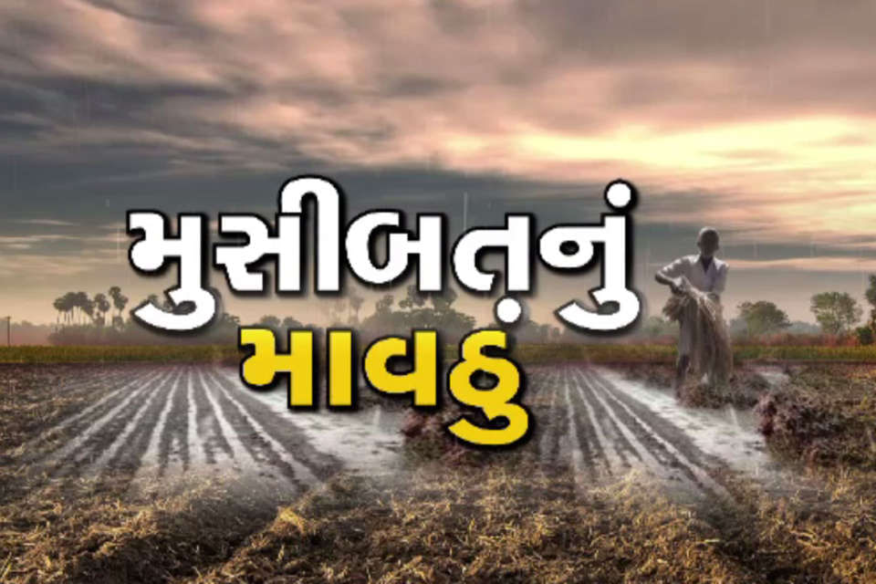 Gujarat : ભર શિયાળે અષાઢી માહોલ જામતા ખેડૂતોની માઠી, રવિ પાકોને નુકસાન થવાની ભીતિ