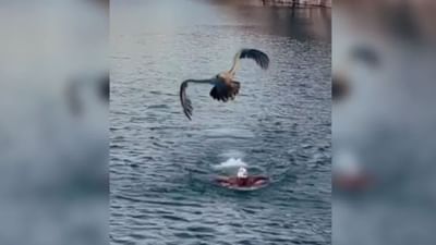 Viral Video: આનંદ મહિન્દ્રાએ આપી જીવનની સુંદર શીખ, Video શેયર કરી કહ્યુ, 'દરેક દિવસ દરેક પળ છે કિંમતી'