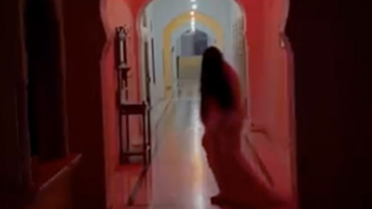 રાજસ્થાનમાં ફરે છે અસલી 'મંજુલિકા', જોતાની સાથે લોકો ડરી જાય છે, જુઓ Viral Video