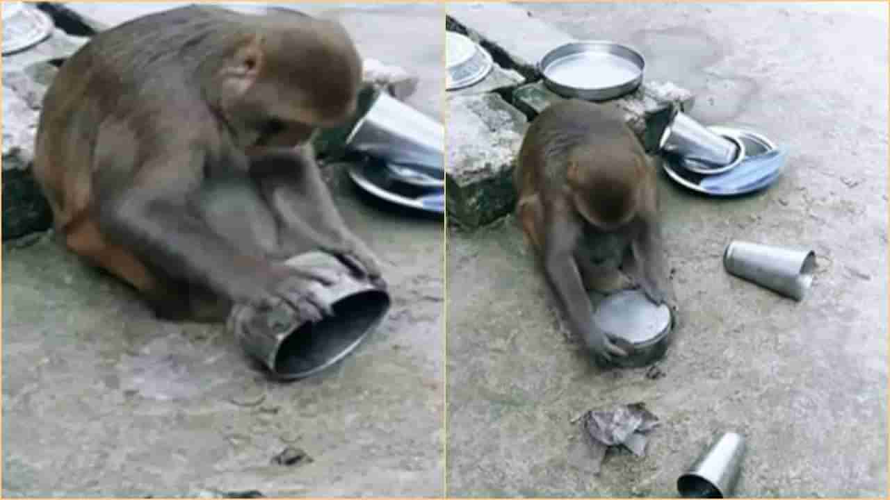 Monkey Funny Video: ઘસી ઘસીને વાસણ ધોઈ રહ્યો હતો વાંદરો, લોકોએ કહ્યું પૂર્વજોથી આ ચાલતુ આવે છે