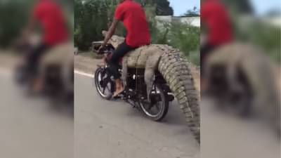 Instagram Reel : મગરની ઉપર બેસીને ચલાવી બાઈક, Viral video જોઈને લોકો થઈ ગયા હેરાન