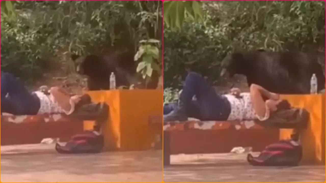 પાર્કમાં આરામથી સૂતી હતી યુવતી અચાનક આવ્યું રીંછ, યુવતીએ ચાલાકીથી બચાવ્યો પોતાનો જીવ, જુઓ Viral Video