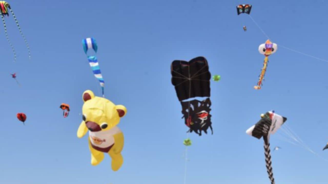 Video :  સ્ટેચ્યુ ઓફ યુનિટી ખાતે જી-20ની થીમ પર આંતરરાષ્ટ્રીય પતંગોત્સવનું આયોજન