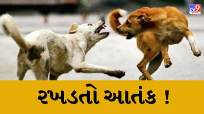 Gujarati Video : રાજકોટમાં અઢી વર્ષના બાળકને ત્રણથી ચાર શ્વાને ભર્યા બચકા, લોહીલુહાણ હાલતમાં લઇ જવાયો હોસ્પિટલ