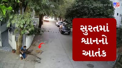 Video : સુરતમાં રખડતા શ્વાનનો આતંક, અશ્વિની કુમાર વિસ્તારમાં શ્વાને નાની બાળકીનો ગાલ કરડી ખાધો, સમગ્ર ઘટના CCTVમાં કેદ