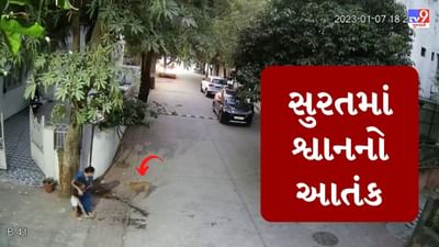Video : સુરતમાં રખડતા શ્વાનનો આતંક, અશ્વિની કુમાર વિસ્તારમાં શ્વાને નાની બાળકીનો ગાલ કરડી ખાધો, સમગ્ર ઘટના CCTVમાં કેદ
