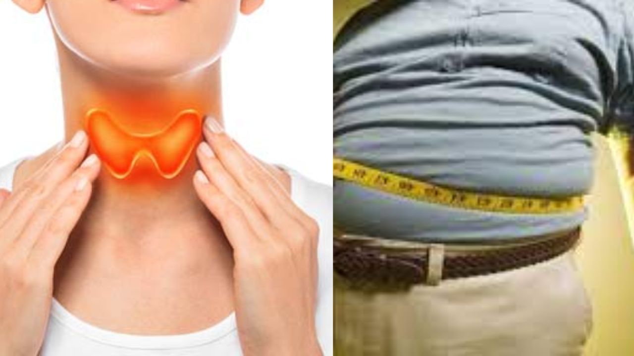 Thyroid Problem : થાઈરોઈડને કારણે વજન વધે છે ? તો આ વસ્તુનું સેવન કરો, મોટાપાની સમસ્યાથી મળશે છુટકારો