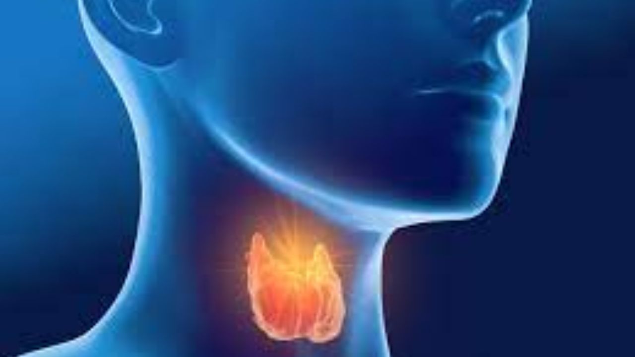 How Many Types Of Thyroid Are There