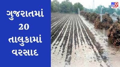 Unseasonal rain : ગુજરાતમાં 20 તાલુકામાં અડધાથી લઇને એક ઇંચ સુધીનો કમોસમી વરસાદ, અનેક વિસ્તારોમાં કરા પડ્યા, કેટલાક શહેરોમા રહ્યુ ધુમ્મસનું સામ્રાજ્ય