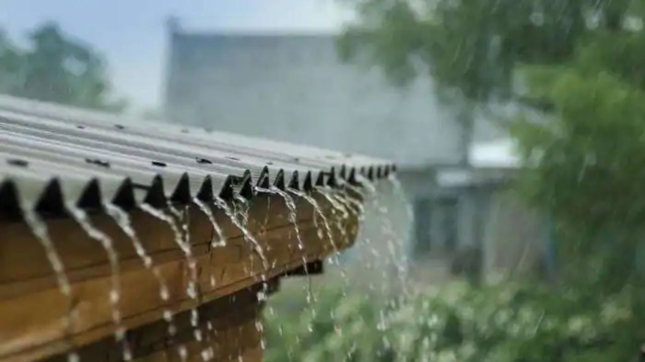 રાજકોટ સહિત રાજ્યના અનેક જિલ્લામાં કમોસમી વરસાદ, જગતના તાતની વધી મુશ્કેલી