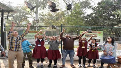 Vadodara: ઉતરાયણમાં ઇજાગ્રસ્ત થયેલા કબૂતરોને સારવાર બાદ વન વિભાગે કર્યાં મુક્ત, સાજા થયેલા કબૂતર ફરીથી ગગનમાં કરશે વિહાર