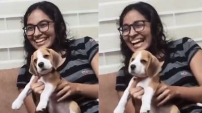 Viral Video : ગલુડિયાએ માણ્યો ભારતીય શાસ્ત્રીય નૃત્ય સંગીતનો આનંદ, મજેદાર વીડિયો શેયર કરી આનંદ મહિન્દ્રાએ કહી આ વાત