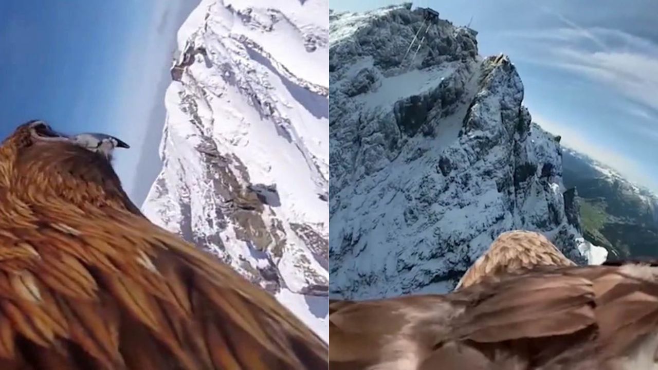 Viral Video: ગરુડની પાંખ પર લગાવવામાં આવ્યો કેમેરો, રેકોર્ડ થયા બરફથી ઢંકાયેલા પહાડનો શાનદાર દ્રશ્યો