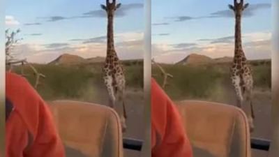 Viral Video : ટૂરિસ્ટ પાછળ ભાગ્યુ જિરાફ, લગાવી એવી દોડ કે લોકોના હાલ થયા બેહાલ