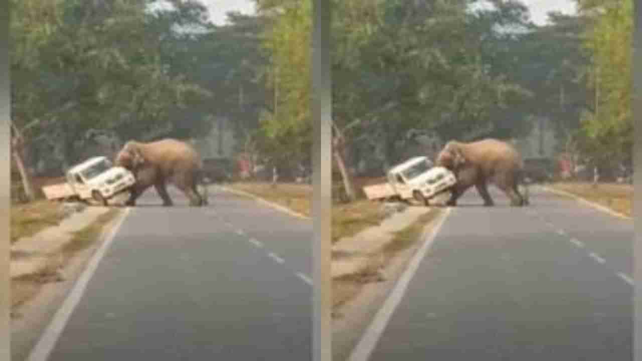 Viral Video: ગજરાજે ધારણ કર્યુ રોદ્રરુપ, અચાનક ગાડી પર કર્યો હલ્લા બોલ, રુંવાટા ઊભા કરી દેતો વીડિયો થયો વાયરલ