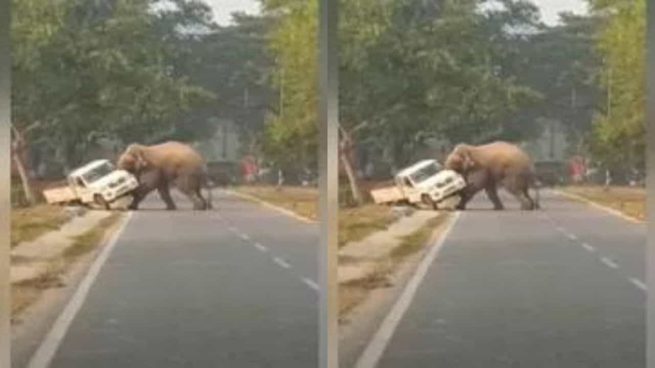 Viral Video: ગજરાજે ધારણ કર્યુ રોદ્રરુપ, અચાનક ગાડી પર કર્યો હલ્લા બોલ, રુંવાટા ઊભા કરી દેતો વીડિયો થયો વાયરલ