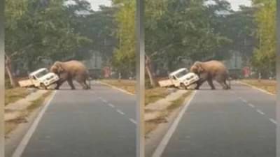 Viral Video: ગજરાજે ધારણ કર્યુ રોદ્રરુપ, અચાનક ગાડી પર કર્યો હલ્લા બોલ, રુંવાટા ઊભા કરી દેતો વીડિયો થયો વાયરલ