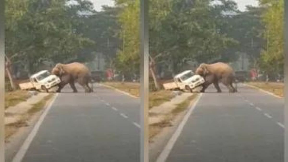 Viral Video: ગજરાજે ધારણ કર્યુ રોદ્રરુપ, અચાનક ગાડી પર કર્યો 'હલ્લા બોલ', રુંવાટા ઊભા કરી દેતો વીડિયો થયો વાયરલ