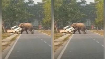 Viral Video: ગજરાજે ધારણ કર્યુ રોદ્રરુપ, અચાનક ગાડી પર કર્યો 'હલ્લા બોલ', રુંવાટા ઊભા કરી દેતો વીડિયો થયો વાયરલ