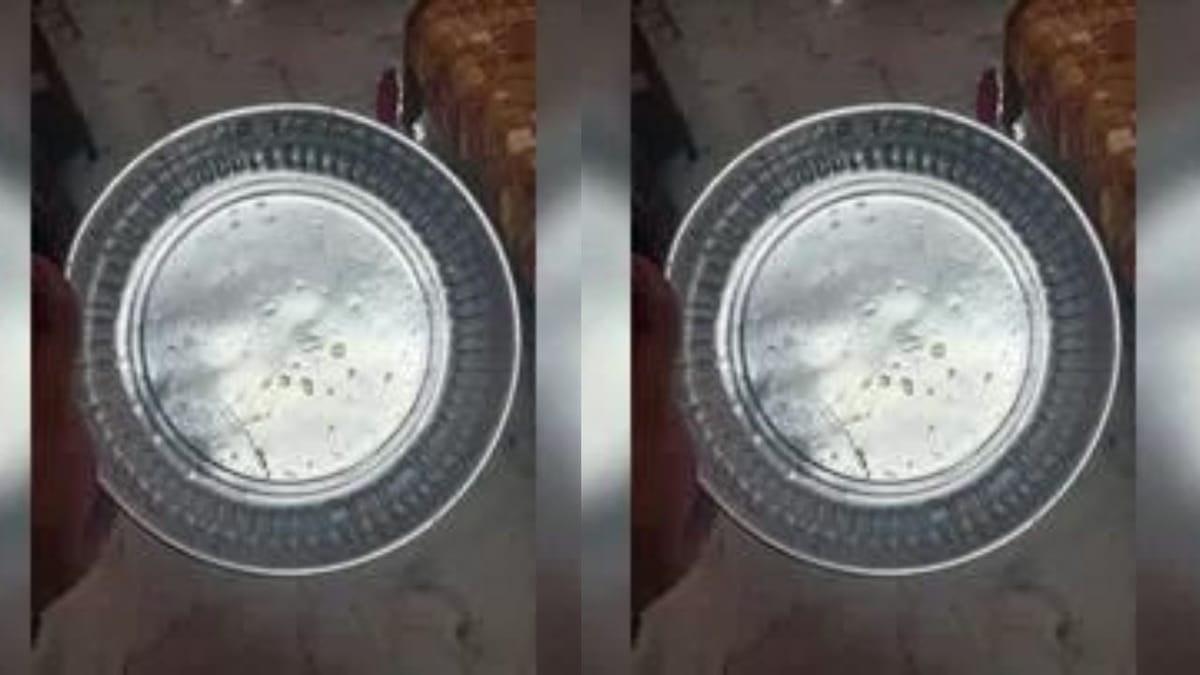 Viral Photo : 20 વર્ષ સુધી એક જ થાળીમાં ભોજન કરતી હતી માતા, મૃત્યુ બાદ તેનું કારણ જાણી ભાવુક થયા લોકો