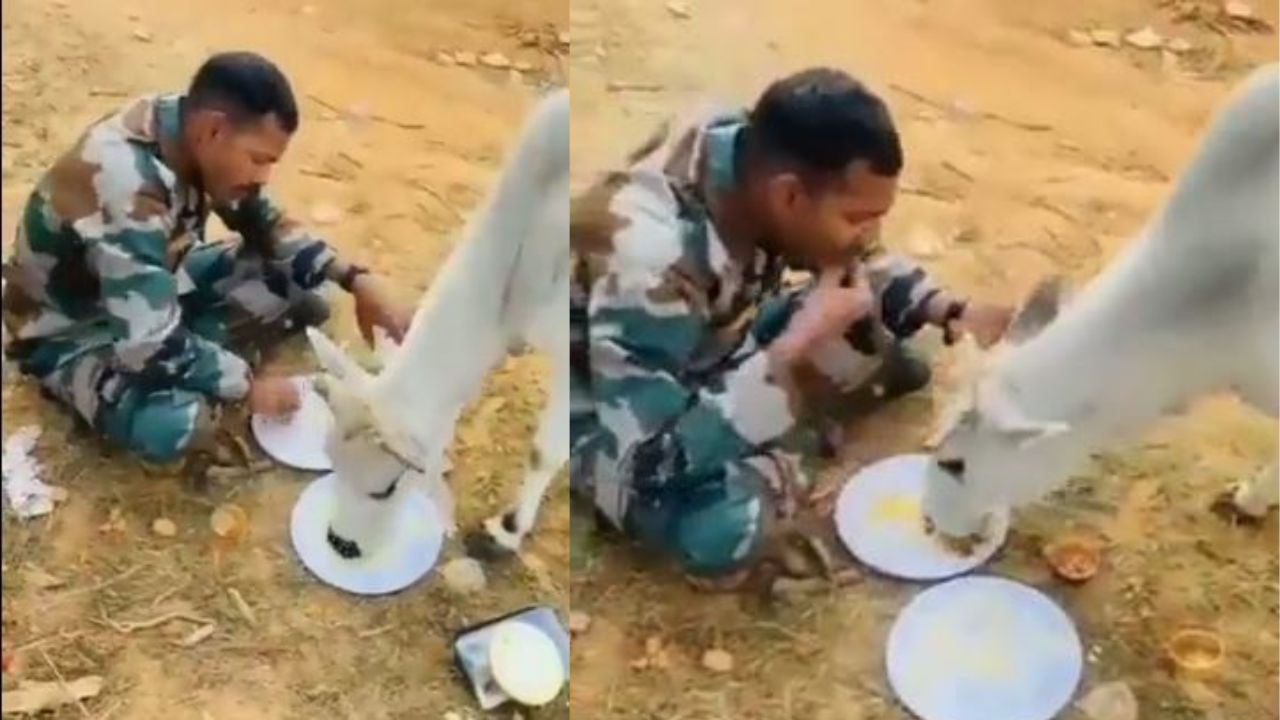 Viral Video : ભારતીય સૈનિક અને ગાય માતાએ એક જ થાળીમાં કર્યું ભોજન, હૃદયસ્પર્શી વીડિયો થયો વાયરલ