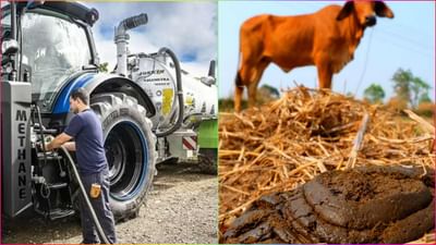 ગાયના છાણમાંથી ચાલશે ટ્રેક્ટર, ક્લાઈમેટ ચેન્જ સામે લડવામાં પણ કરશે મદદ