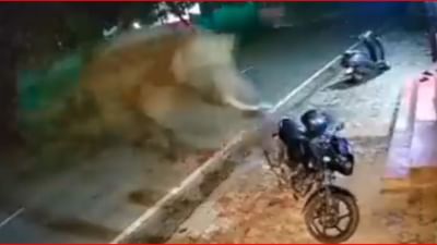 Twitter video : ક્રોધિત હાથીએ રોડ પર ઉભેલી બાઈક સાથે કર્યું કંઈક એવુ તે જોઈને તમે પણ દંગ રહી જશો