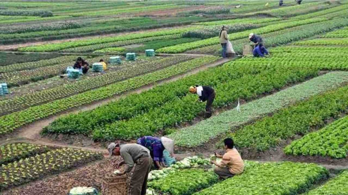 Gujarati Video : રાજકોટ જિલ્લાના ખેડૂતોને બજેટમાં ઘણી આશા અને અપેક્ષા, જાણો કઇ બાબતોમાં ઇચ્છે છે રાહત