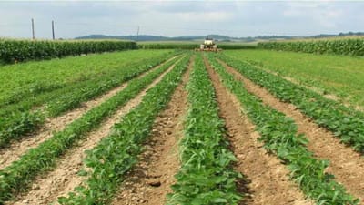 સારા સમાચાર ! આગામી બજેટમાં ગ્રામીણ અને ઈન્ફ્રાસ્ટ્રક્ચર પર ફોકસ કરાશે, જાણો કેટલો ખર્ચ થશે