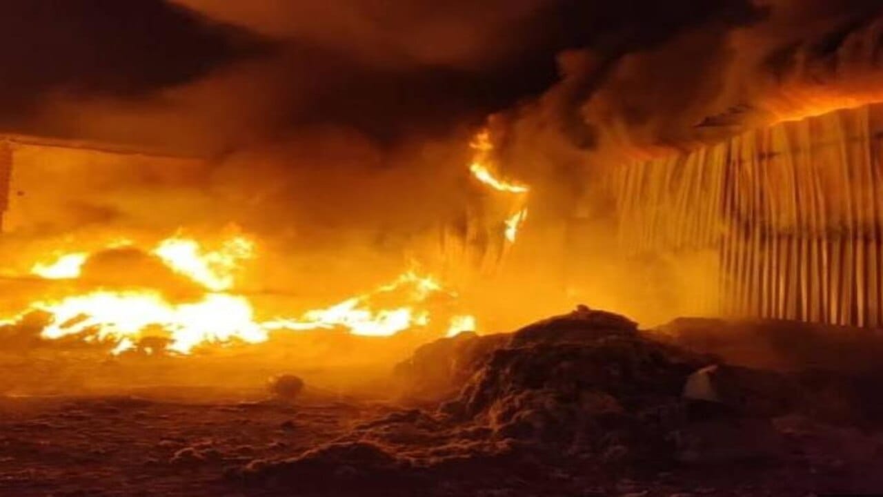 Nigeria માં મૈદુગુરિની મસ્જિદમાં બોમ્બ વિસ્ફોટ, 7 લોકોના મોત