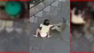 Twitter Video : ઘરની બહાર બેઠેલા બાળક સાથે વાંદરાએ કર્યુ કંઈક એવુ કે જોઈને તમારા રુંવાટા ઉભા થઈ જશે.. જુઓ VIDEO