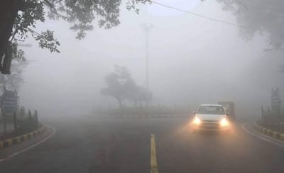 કાતિલ ઠંડીમાં ઠુંઠવાયું ઉત્તર ભારત, ગાઢ ધુમ્મસના કારણે વિઝિબિલિટી ઘટી, આ રાજ્યમાં અલર્ટ