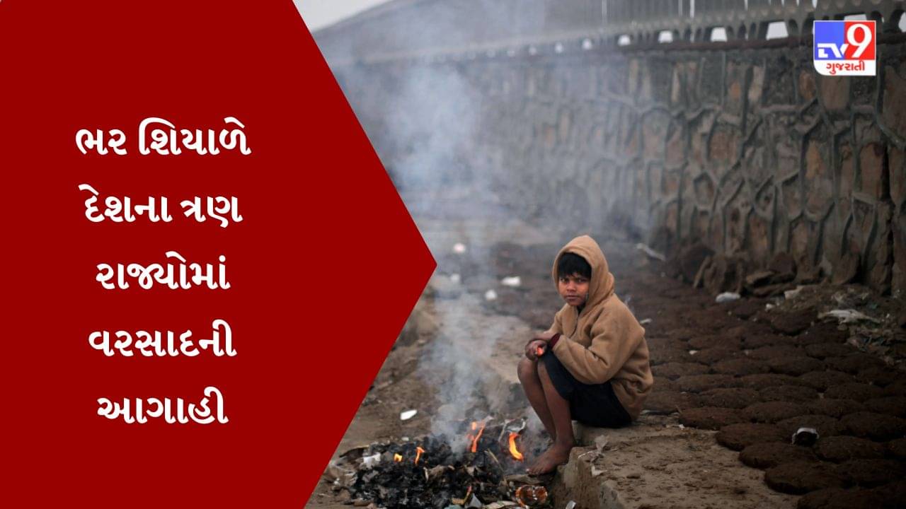 દિલ્લી અને ઉત્તર ભારત સહિત સમગ્ર દેશમા આગામી 5 દિવસ હાડ ધ્રૂજાવતી ઠંડીની આગાહી