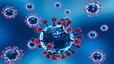 15 લાખ વિદેશી પ્રવાસીના કોરોના ટેસ્ટ કરાયા, સેમ્પલમાં ઓમિક્રોનનું સબ-વેરિઅન્ટ BF-7 મળ્યું